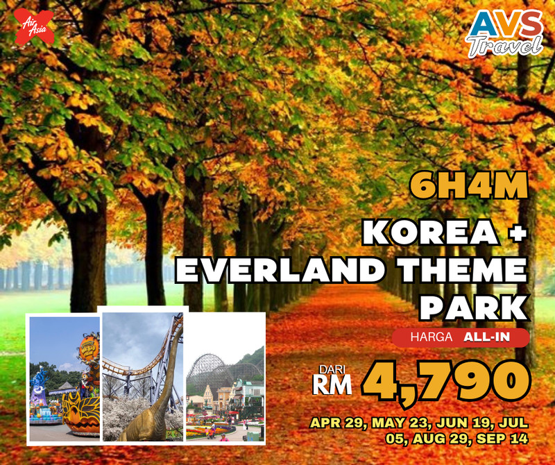 6H4M Korea + Everland Theme Park
